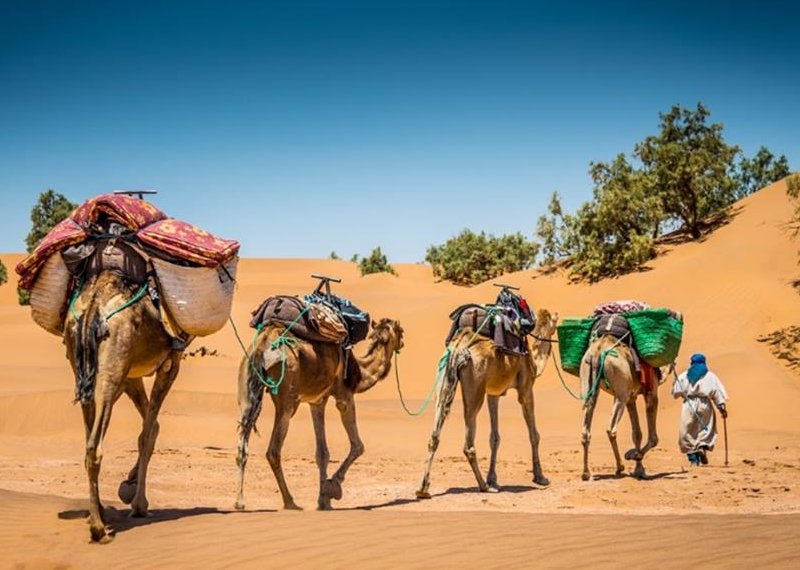 el gran sur de marruecos